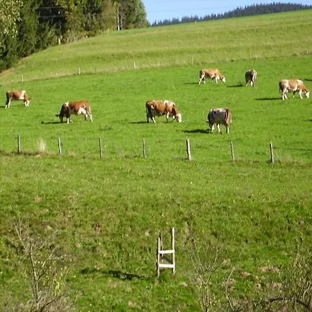 Bauernhof Kasleitner Zell am Moos