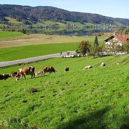 팜스테이 Bauernhof Kasleitner 첼 암 모오스