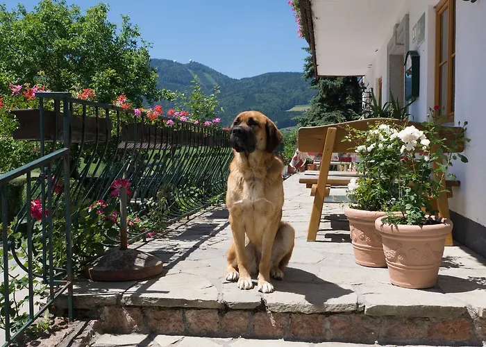 Bauernhof Kasleitner *