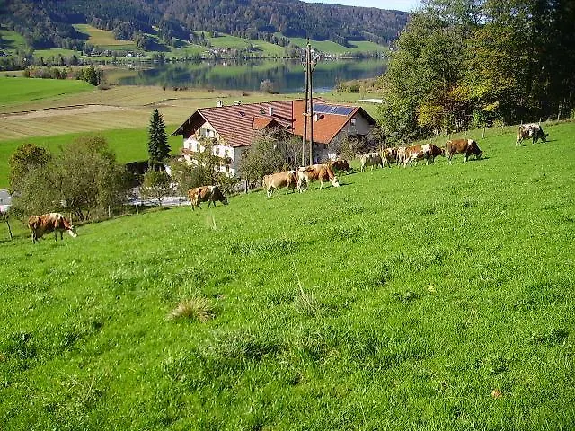 Bauernhof Kasleitner