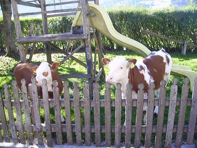 Bauernhof Kasleitner *