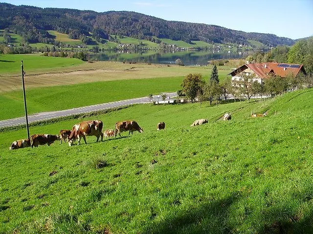 Çiftlik konaklama Bauernhof Kasleitner Zell am Moos