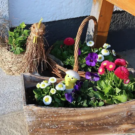 Bauernhof Kasleitner *