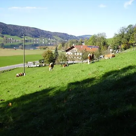 Gospodarstwo agroturystyczne Bauernhof Kasleitner Zell am Moos