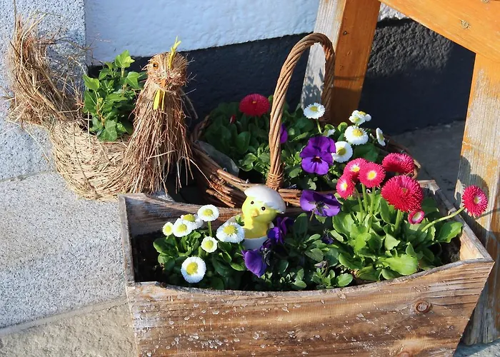 Bauernhof Kasleitner *