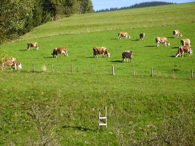 Bauernhof Kasleitner Zell am Moos